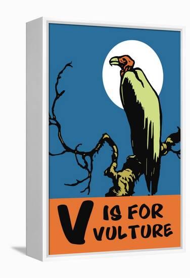 V is for Vulture-Charles Buckles Falls-Framed Stretched Canvas