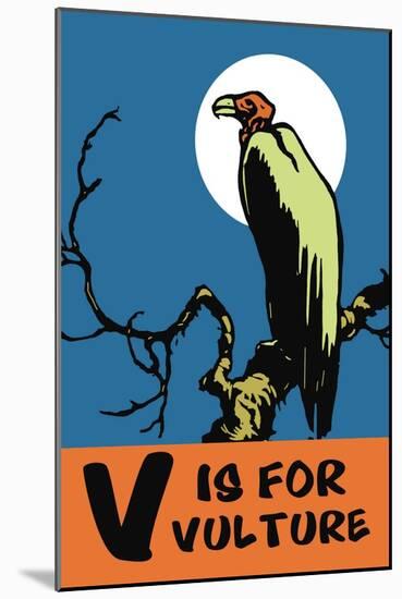 V is for Vulture-Charles Buckles Falls-Mounted Art Print