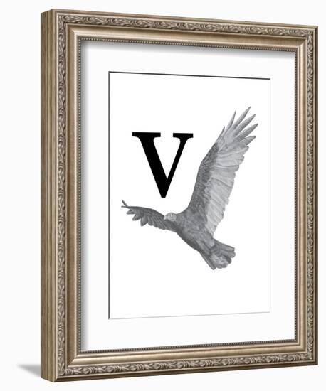 V is for Vulture-Stacy Hsu-Framed Art Print