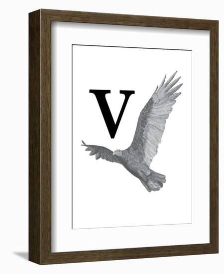 V is for Vulture-Stacy Hsu-Framed Art Print