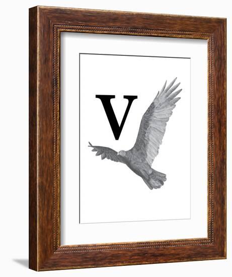 V is for Vulture-Stacy Hsu-Framed Art Print