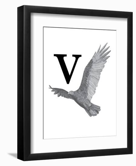 V is for Vulture-Stacy Hsu-Framed Art Print