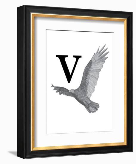 V is for Vulture-Stacy Hsu-Framed Art Print