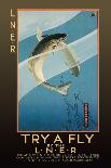 Try a Fly-V.l. Danvers-Stretched Canvas
