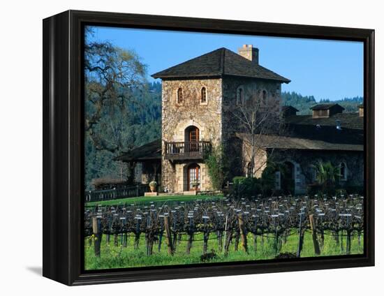 V Sattui Winery and Vineyard in St. Helena, Napa Valley Wine Country, California, USA-John Alves-Framed Premier Image Canvas
