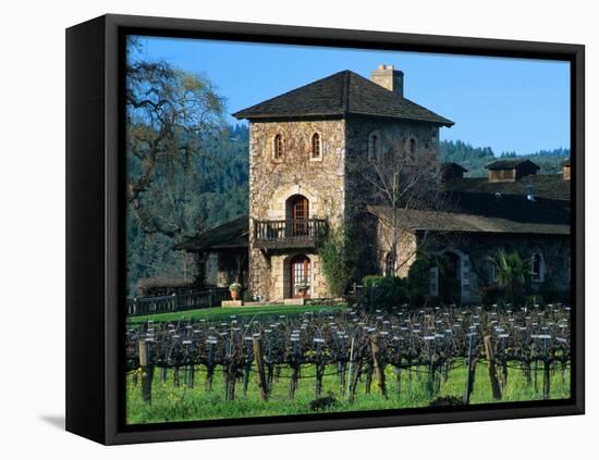 V Sattui Winery and Vineyard in St. Helena, Napa Valley Wine Country, California, USA-John Alves-Framed Premier Image Canvas