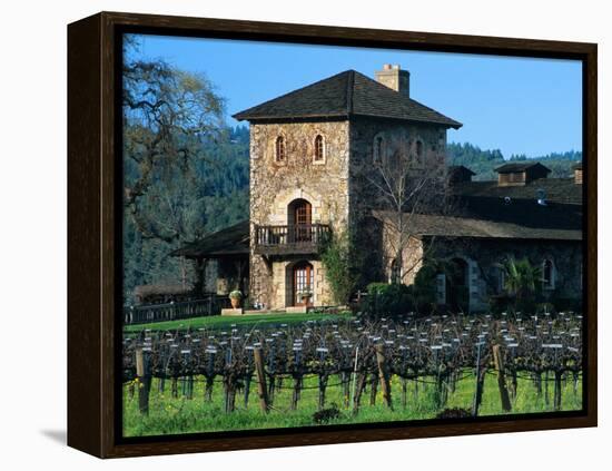 V Sattui Winery and Vineyard in St. Helena, Napa Valley Wine Country, California, USA-John Alves-Framed Premier Image Canvas