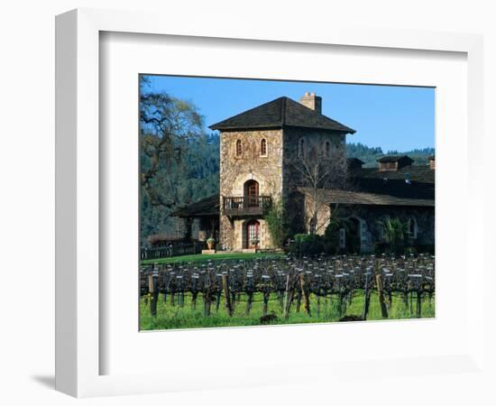 V Sattui Winery and Vineyard in St. Helena, Napa Valley Wine Country, California, USA-John Alves-Framed Photographic Print