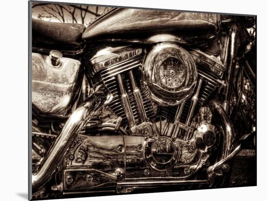 V-Twin Motorcyle Engine-Stephen Arens-Mounted Photographic Print