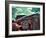 V8-Stephen Arens-Framed Photographic Print