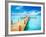 Vacations and Tourism Concept. Tropic Paradise. Jetty on Isla Mujeres, Mexico,Cancun-Subbotina Anna-Framed Photographic Print