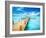 Vacations and Tourism Concept. Tropic Paradise. Jetty on Isla Mujeres, Mexico,Cancun-Subbotina Anna-Framed Photographic Print