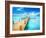 Vacations and Tourism Concept. Tropic Paradise. Jetty on Isla Mujeres, Mexico,Cancun-Subbotina Anna-Framed Photographic Print