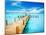 Vacations and Tourism Concept. Tropic Paradise. Jetty on Isla Mujeres, Mexico,Cancun-Subbotina Anna-Mounted Photographic Print
