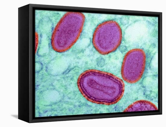 Vaccinia Virus Particles, TEM-Science Photo Library-Framed Premier Image Canvas