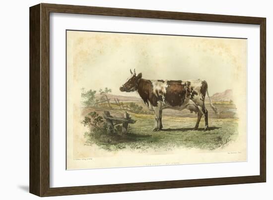 Vache D'Ayr-I. Bonheur-Framed Art Print