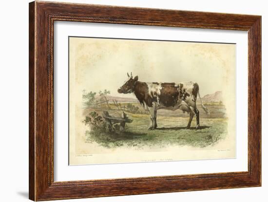 Vache D'Ayr-I. Bonheur-Framed Art Print