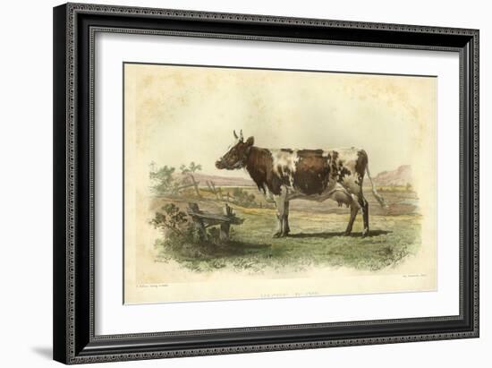 Vache D'Ayr-I. Bonheur-Framed Art Print