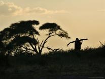 Zebras and Offspring at Sunset, Amboseli Wildlife Reserve, Kenya-Vadim Ghirda-Photographic Print