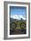 Vail, Colorado - Ride the Trails, Mountain Bike-Lantern Press-Framed Art Print