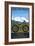 Vail, Colorado - Ride the Trails, Mountain Bike-Lantern Press-Framed Art Print