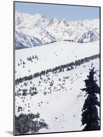 Vail Ski Resort and the Gore Mountains, Vail, Colorado, United States of America, North America-Kober Christian-Mounted Photographic Print