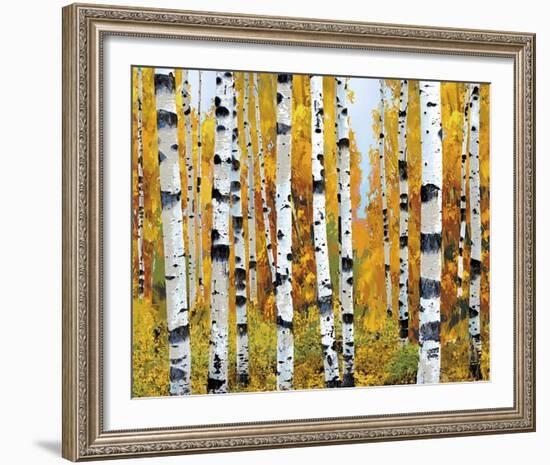 Vail-Mark Chandon-Framed Giclee Print