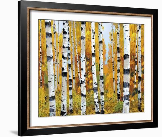 Vail-Mark Chandon-Framed Giclee Print