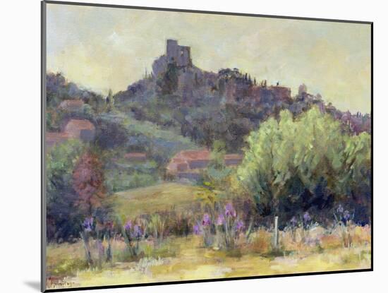 Vaison La Romaine, Vaucluse-Karen Armitage-Mounted Giclee Print