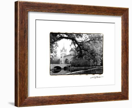 Vajdahunyad Castle, Budapest-Laura Denardo-Framed Photographic Print