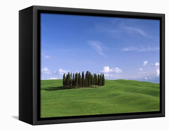 Val d'Orcia, Countryside View, Green Grass and Cypress Trees, Tuscany, Italy-Steve Vidler-Framed Premier Image Canvas