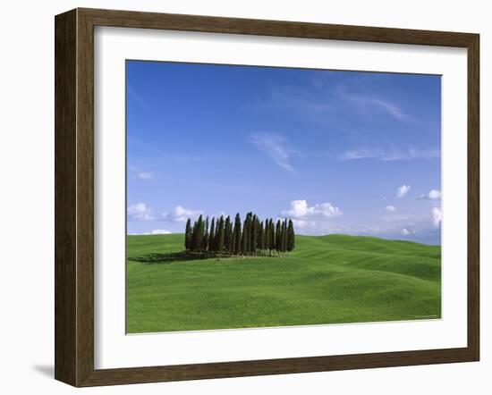 Val d'Orcia, Countryside View, Green Grass and Cypress Trees, Tuscany, Italy-Steve Vidler-Framed Photographic Print