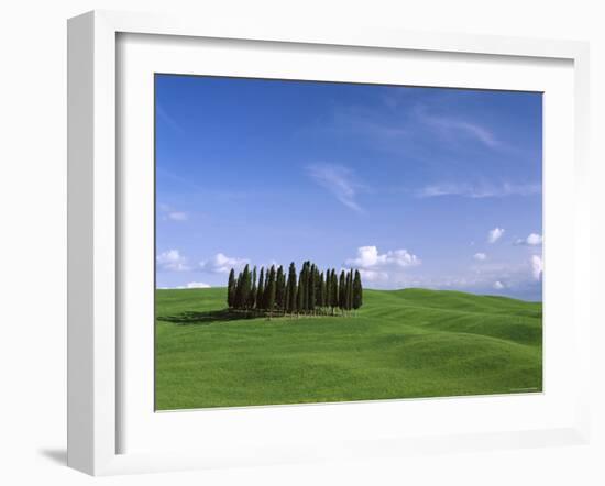 Val d'Orcia, Countryside View, Green Grass and Cypress Trees, Tuscany, Italy-Steve Vidler-Framed Photographic Print