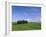 Val d'Orcia, Countryside View, Green Grass and Cypress Trees, Tuscany, Italy-Steve Vidler-Framed Photographic Print