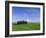 Val d'Orcia, Countryside View, Green Grass and Cypress Trees, Tuscany, Italy-Steve Vidler-Framed Photographic Print