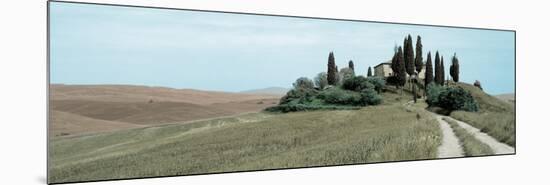 Val d’Orcia Pano #4-Alan Blaustein-Mounted Photographic Print