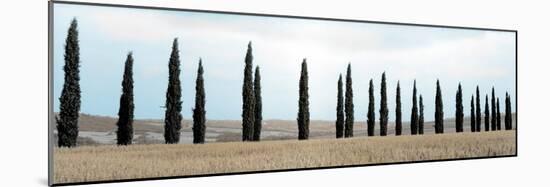Val d’Orcia Pano #5-Alan Blaustein-Mounted Photographic Print