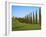 Val D'Orcia, Siena Province, Siena, Tuscany, Italy, Europe-Nico Tondini-Framed Photographic Print