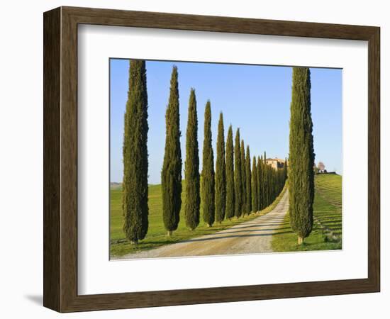 Val D'Orcia, Siena Province, Siena, Tuscany, Italy-Nico Tondini-Framed Photographic Print