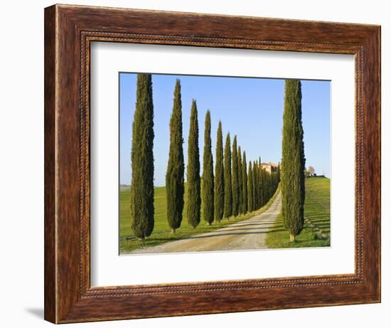 Val D'Orcia, Siena Province, Siena, Tuscany, Italy-Nico Tondini-Framed Photographic Print