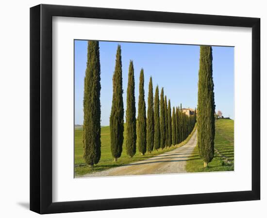 Val D'Orcia, Siena Province, Siena, Tuscany, Italy-Nico Tondini-Framed Photographic Print