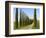 Val D'Orcia, Siena Province, Siena, Tuscany, Italy-Nico Tondini-Framed Photographic Print