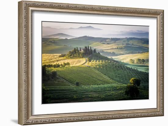 Val D'Orcia, Tuscany, Italy. a Lonely Farmhouse with Cypress and Olive Trees, Rolling Hills.-Francesco Riccardo Iacomino-Framed Photographic Print