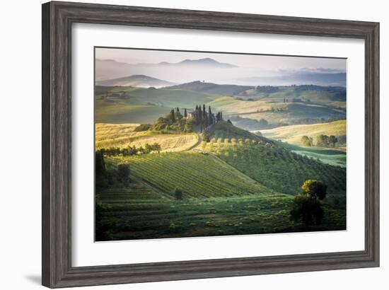 Val D'Orcia, Tuscany, Italy. a Lonely Farmhouse with Cypress and Olive Trees, Rolling Hills.-Francesco Riccardo Iacomino-Framed Photographic Print