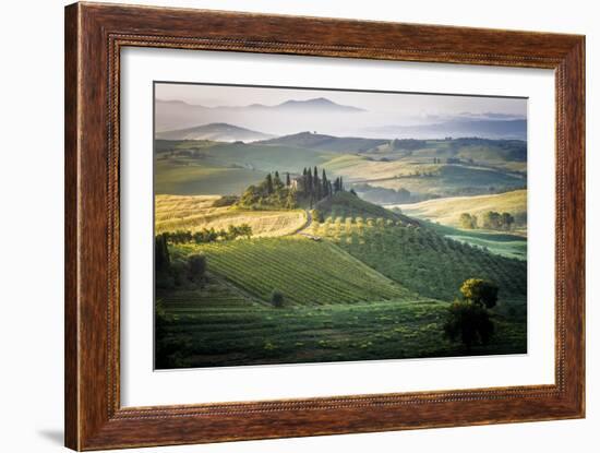 Val D'Orcia, Tuscany, Italy. a Lonely Farmhouse with Cypress and Olive Trees, Rolling Hills.-Francesco Riccardo Iacomino-Framed Photographic Print