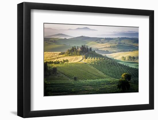 Val D'Orcia, Tuscany, Italy. a Lonely Farmhouse with Cypress and Olive Trees, Rolling Hills.-Francesco Riccardo Iacomino-Framed Photographic Print