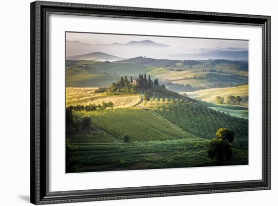 Val D'Orcia, Tuscany, Italy. a Lonely Farmhouse with Cypress and Olive Trees, Rolling Hills.-Francesco Riccardo Iacomino-Framed Photographic Print