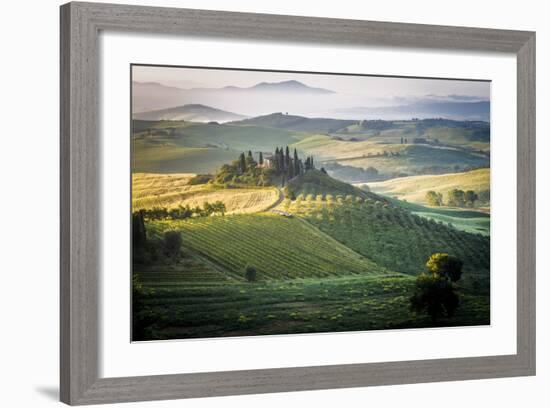 Val D'Orcia, Tuscany, Italy. a Lonely Farmhouse with Cypress and Olive Trees, Rolling Hills.-Francesco Riccardo Iacomino-Framed Photographic Print