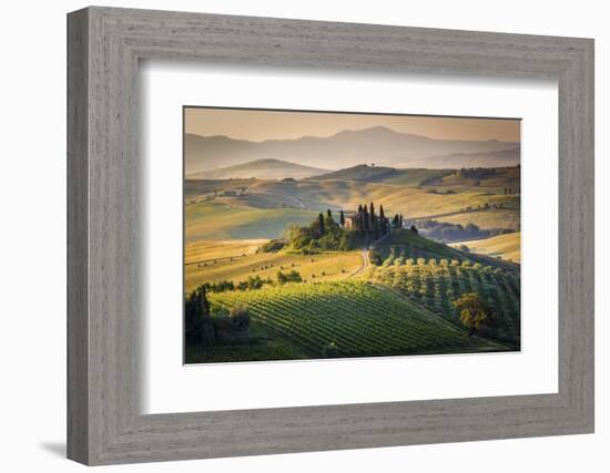 Val D'Orcia, Tuscany, Italy. a Lonely Farmhouse with Cypress and Olive Trees, Rolling Hills.-Francesco Riccardo Iacomino-Framed Photographic Print