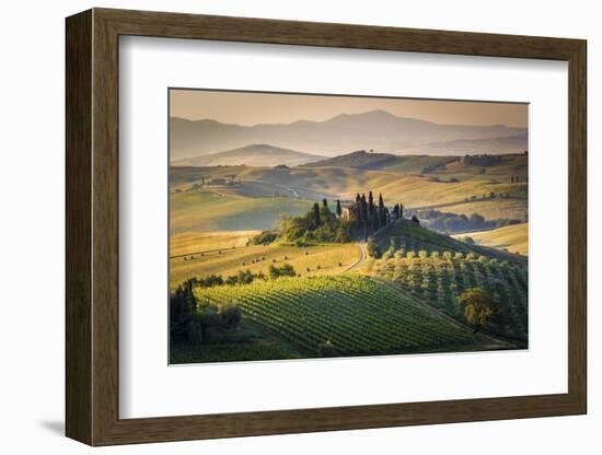 Val D'Orcia, Tuscany, Italy. a Lonely Farmhouse with Cypress and Olive Trees, Rolling Hills.-Francesco Riccardo Iacomino-Framed Photographic Print